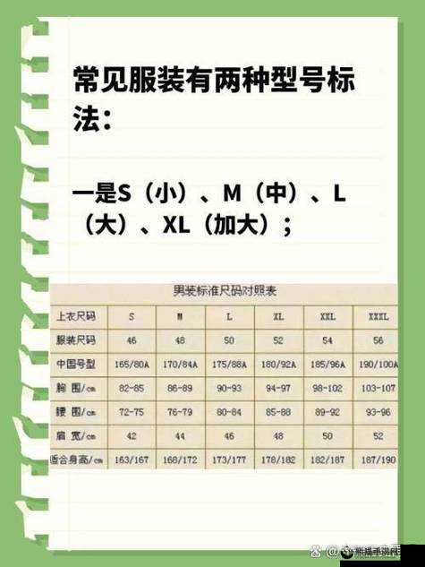 韩国 1 码是多大尺码：深入探究其对应的具体尺寸规格